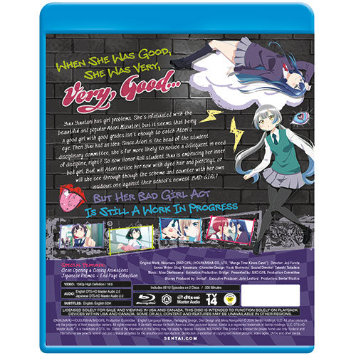 Bad Girl Complete Collection | Sentai
