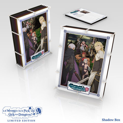 Is It Wrong to Try to Pick Up Girls in a Dungeon? V Shadow Box