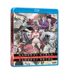 Samurai Girls / Samurai Bride Complete Series Blu-ray Front Cover