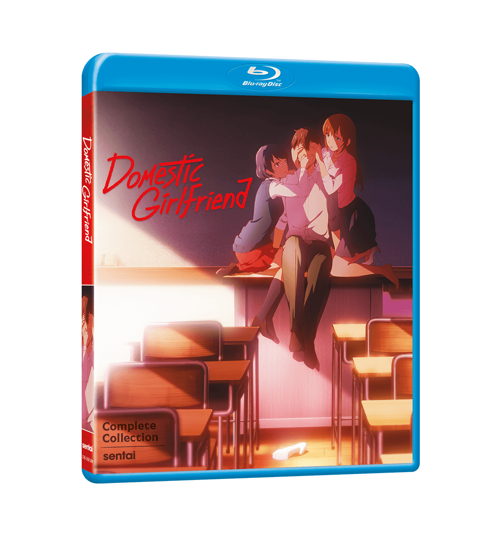 Domestic Girlfriend Complete Collection