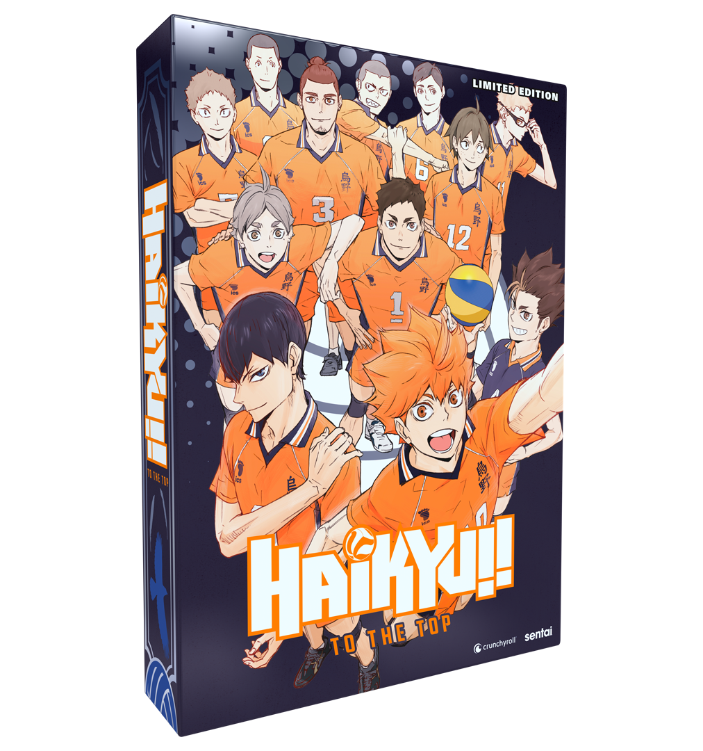 DVD Anime Haikyuu!! Season 4: To The Top (1-25 End) English Dubbed, All  Region