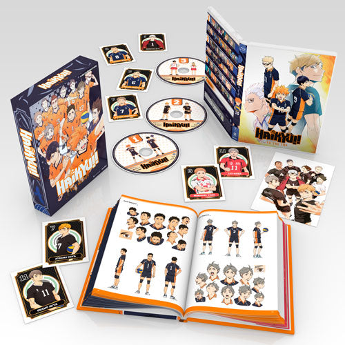 Haikyuu!! Haikyu! Season 1-4 (4 Movies + 5 OVA) Complete Series Boxset Anime  DVD