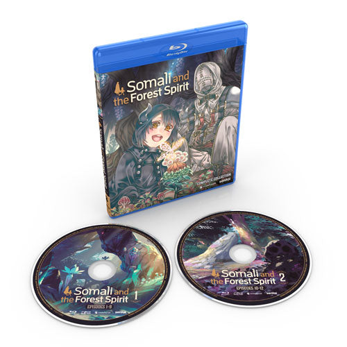 SOMALI TO MORI NO KAMISAMA - ANIME TV SERIES DVD (1-12 EPS) SHIP FROM US